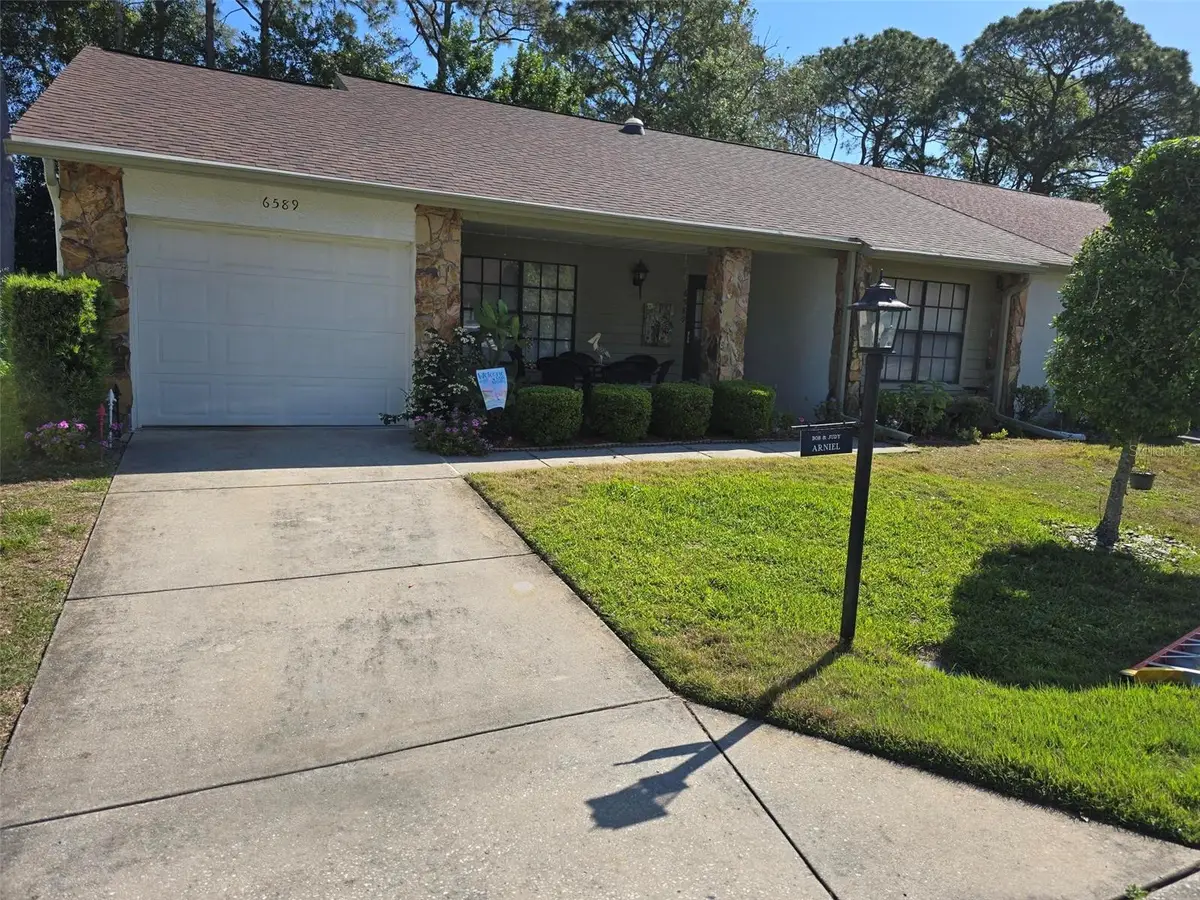6589 Brambleleaf Drive, Spring Hill, FL 34606 - #1
