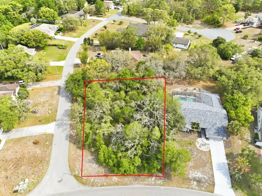 10592 Woodland Waters Boulevard, Weeki Wachee, FL 34613 - #3
