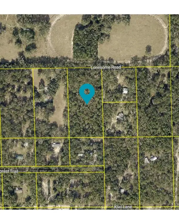 Lonesome Road, BROOKSVILLE, FL 34601
