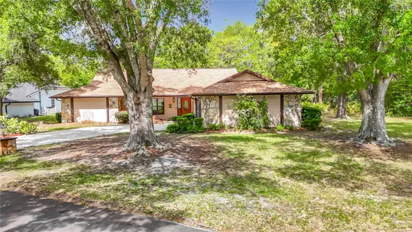 2 Jungleplum Court W, HOMOSASSA, FL 34446