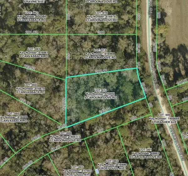 Lot 12 Carolina Dove Road, BROOKSVILLE, FL 34614