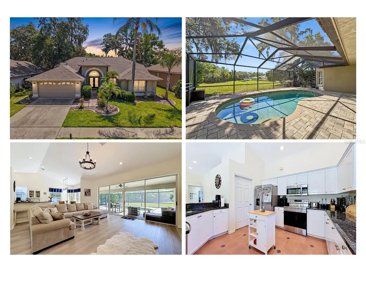 8435 Basuto Dr, Trinity, FL 34655 - #1