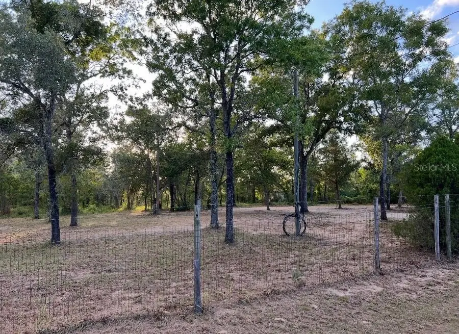 12055 Finch Road, Weeki Wachee, FL 34614 - #3