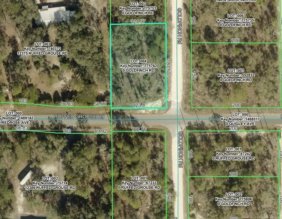 Goldfinch Road, Weeki Wachee, FL 34614 - #2