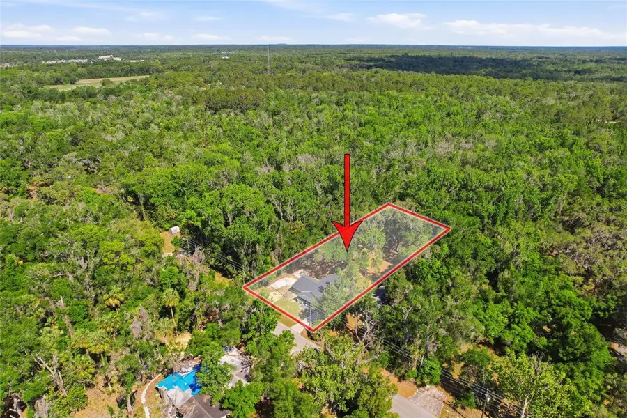317 NE 13th Terrace, Crystal River, FL 34428 - #3