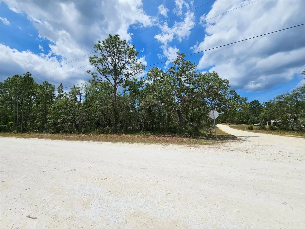 0 Song Sparrow Avenue, Weeki Wachee, FL 34614 - #1