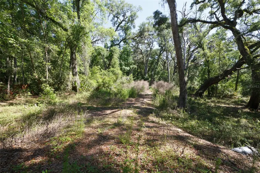 200 NE 364th Avenue, Old Town, FL 32680 - #3