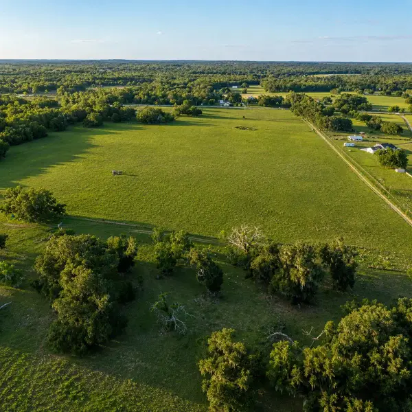 Mondon Hill Road, BROOKSVILLE, FL 34601