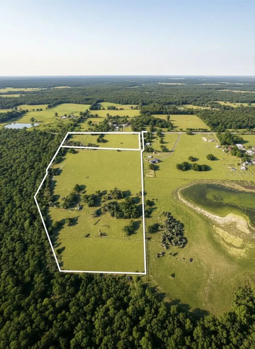 Mondon Hill Road, Brooksville, FL 34601 - #3