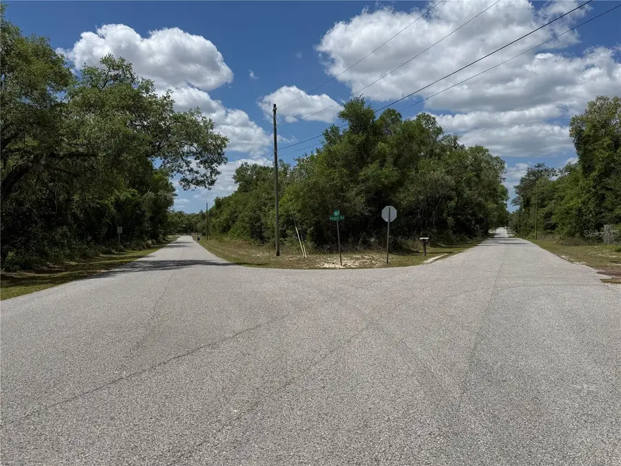 Lewis Lane, Webster, FL 33597 - #3