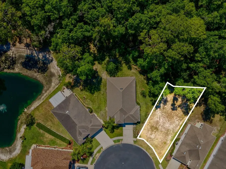 11444 Merganser Way, New Port Richey, FL 34654 - #2