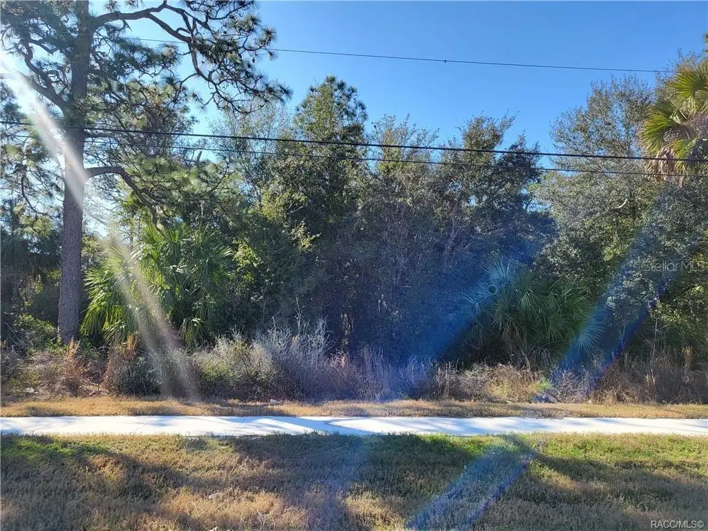 1224 S Suncoast Boulevard, Homosassa, FL 34448 - #1