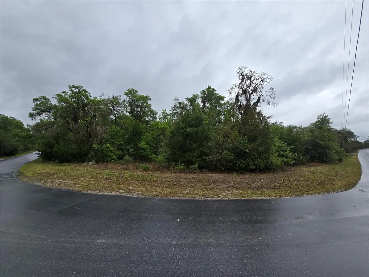 6727 N Linen Point, Dunnellon, FL 34433 - #1