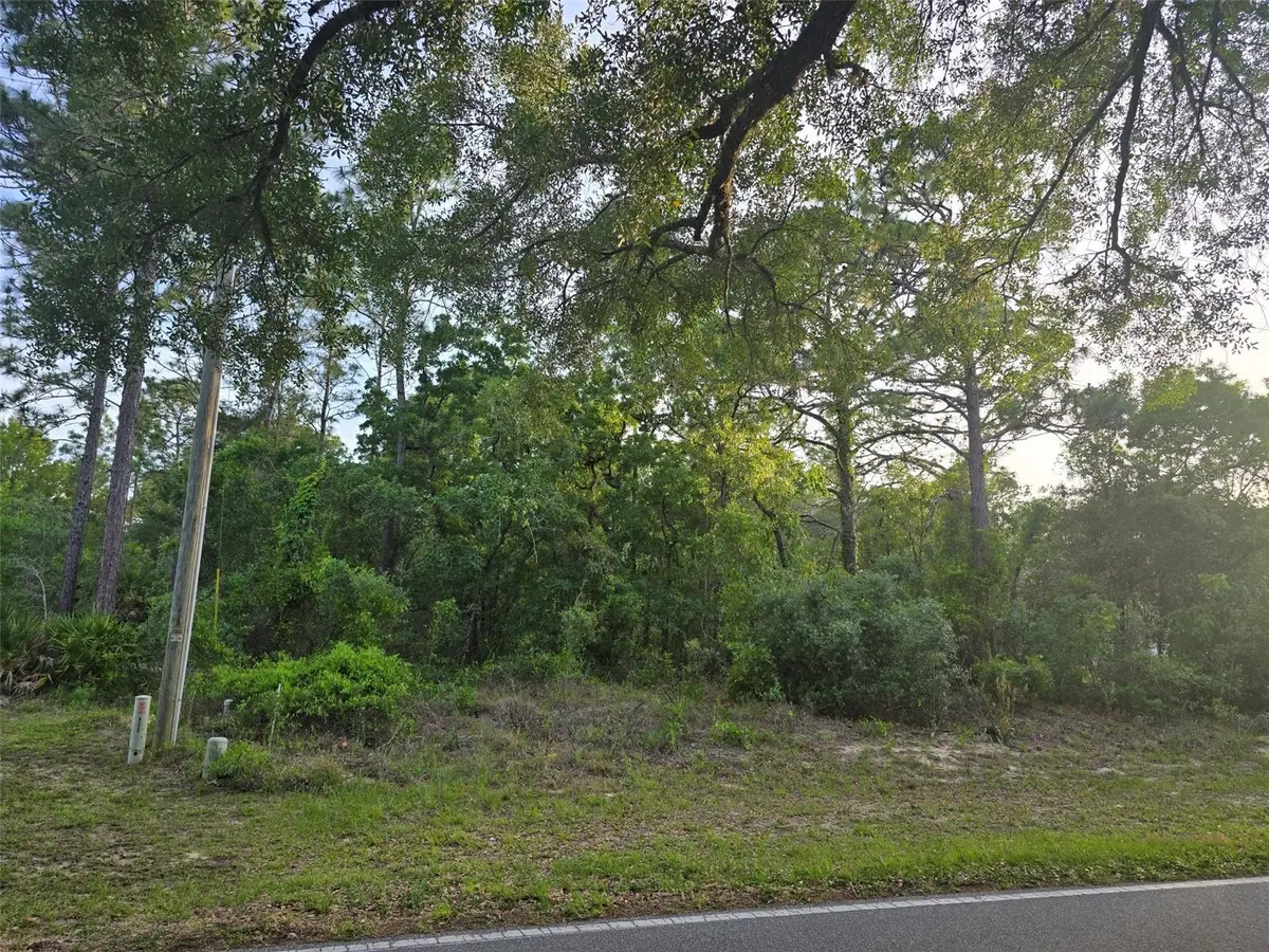 116 S Oak Village Boulevard, Homosassa, FL 34446 - #1
