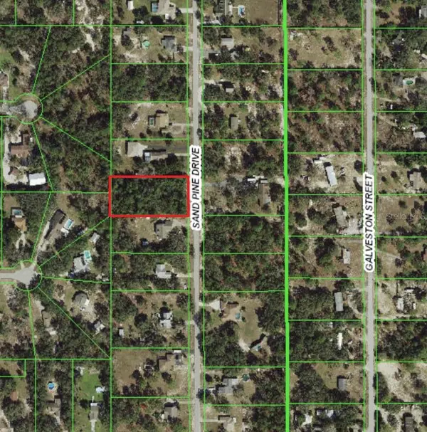000 Sand Pine Drive, SPRING HILL, FL 34610