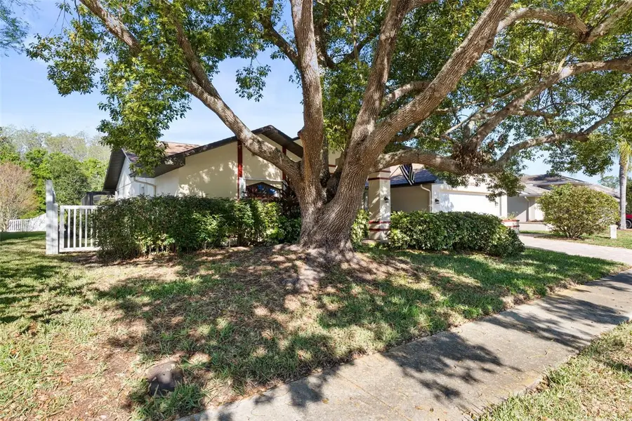 5243 Saltamonte Drive, New Port Richey, FL 34655 - #3