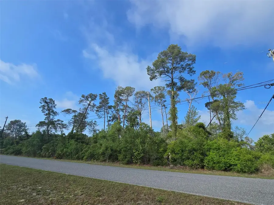10044 Noddy Tern Road, Weeki Wachee, FL 34613 - #3