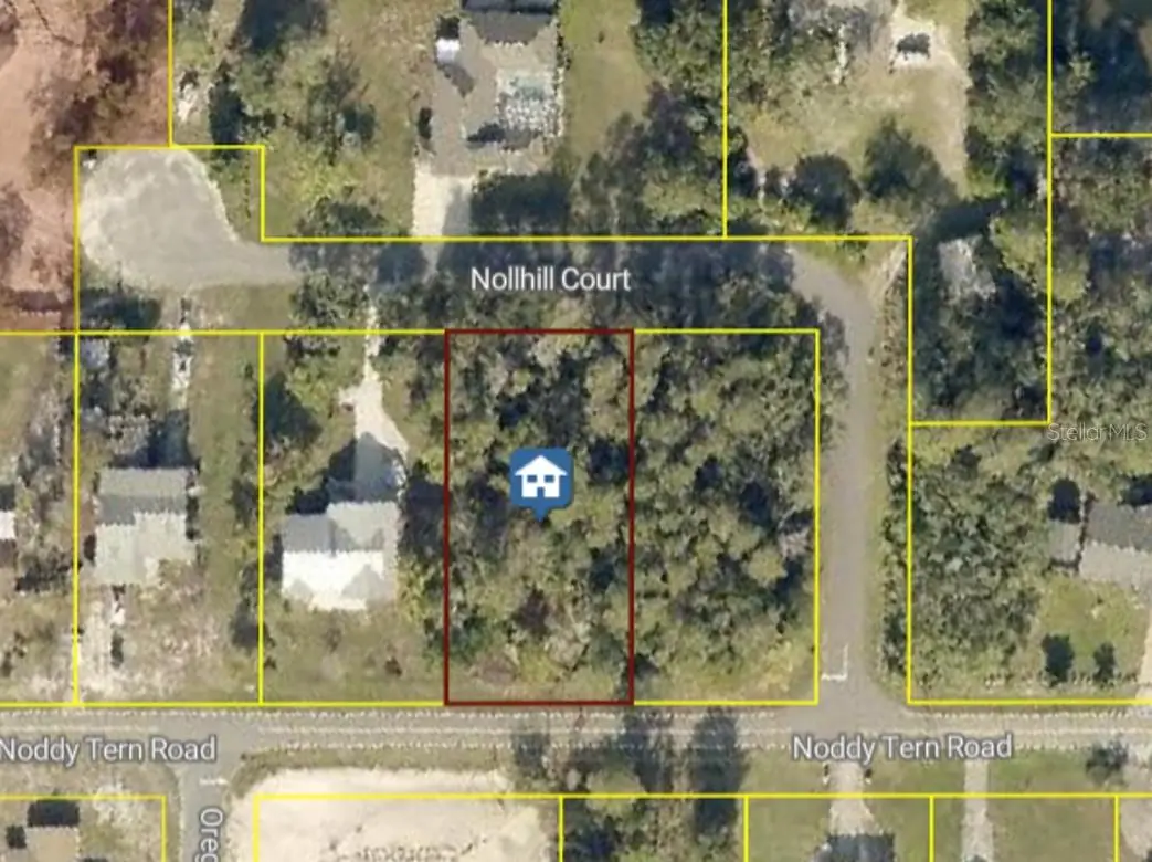 10185 Noddy Tern Road, Weeki Wachee, FL 34613 - #1