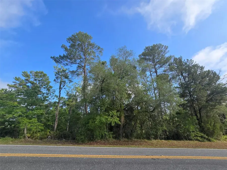 10185 Noddy Tern Road, Weeki Wachee, FL 34613 - #3