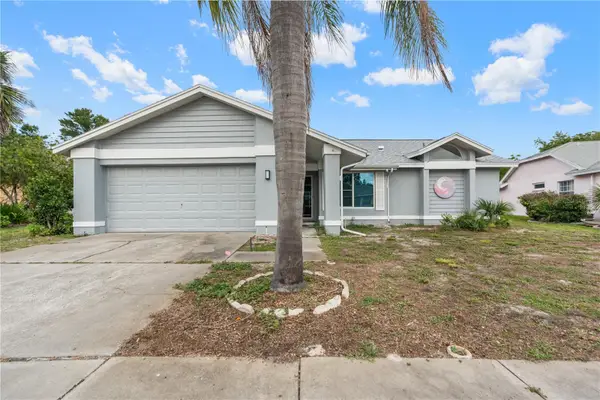 8635 Braxton Drive, HUDSON, FL 34667