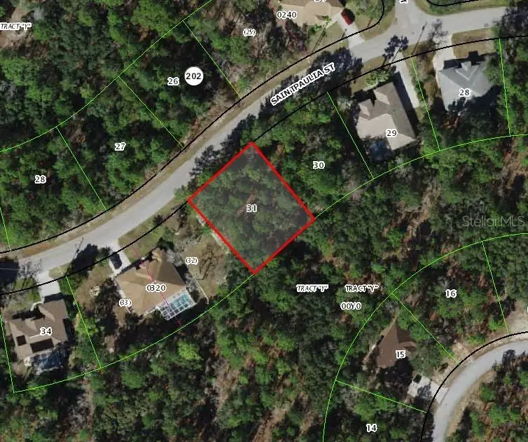 31 Saintpaulia Street, Homosassa, FL 34446 - #2