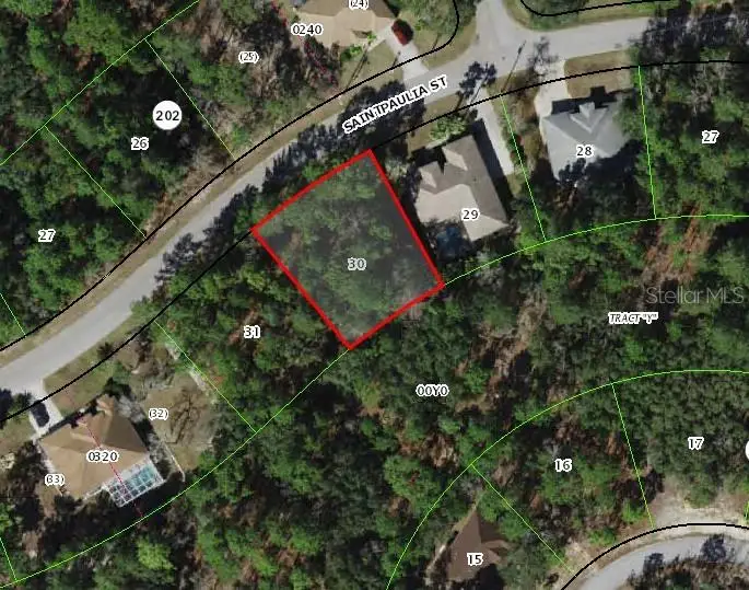 29 Saintpaulia Street, Homosassa, FL 34446 - #2