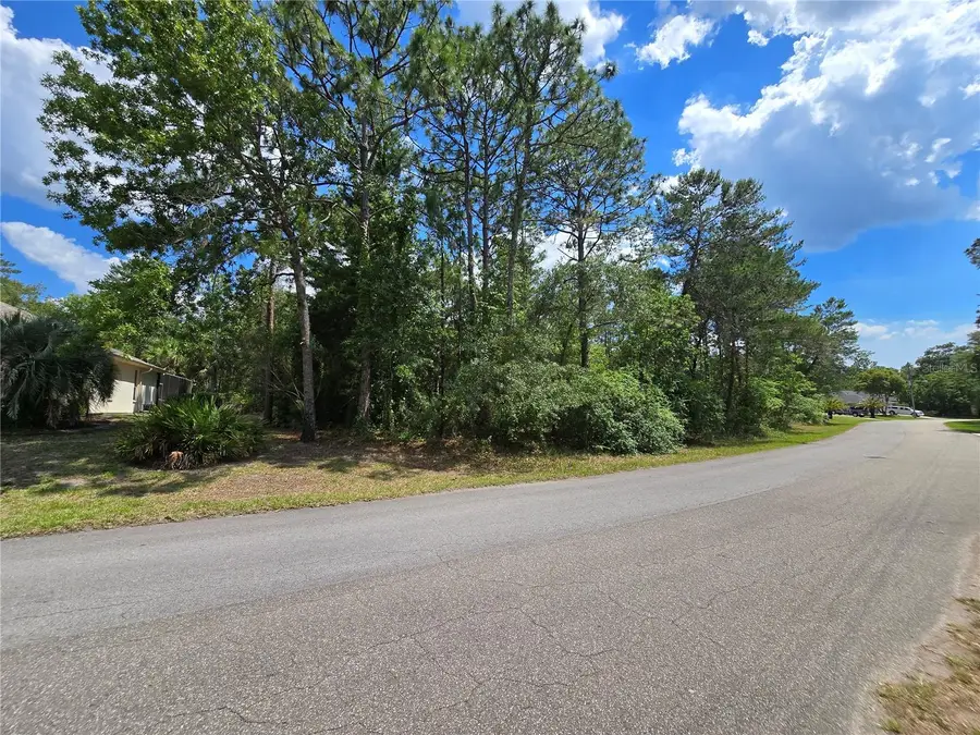 29 Saintpaulia Street, Homosassa, FL 34446 - #3