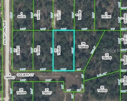 0 Goliath Court, Weeki Wachee, FL 34614 - #1