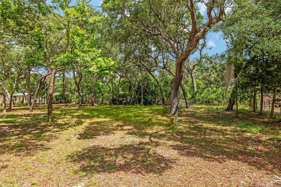 11211 NW 113th Place, Chiefland, FL 32626 - #3