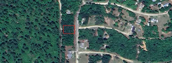 0 NE 213 Avenue, FORT MC COY, FL 32134