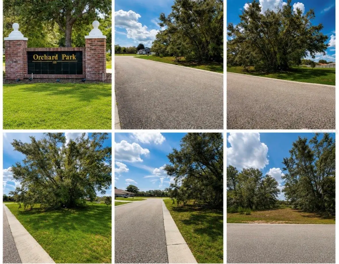 9925 Reindeer Court, Spring Hill, FL 34608 - #1