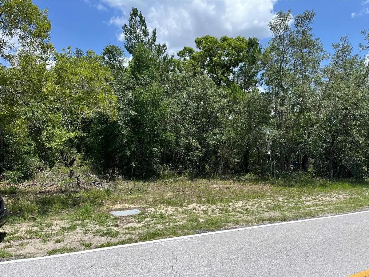 Pinehurst Drive, Spring Hill, FL 34606 - #1