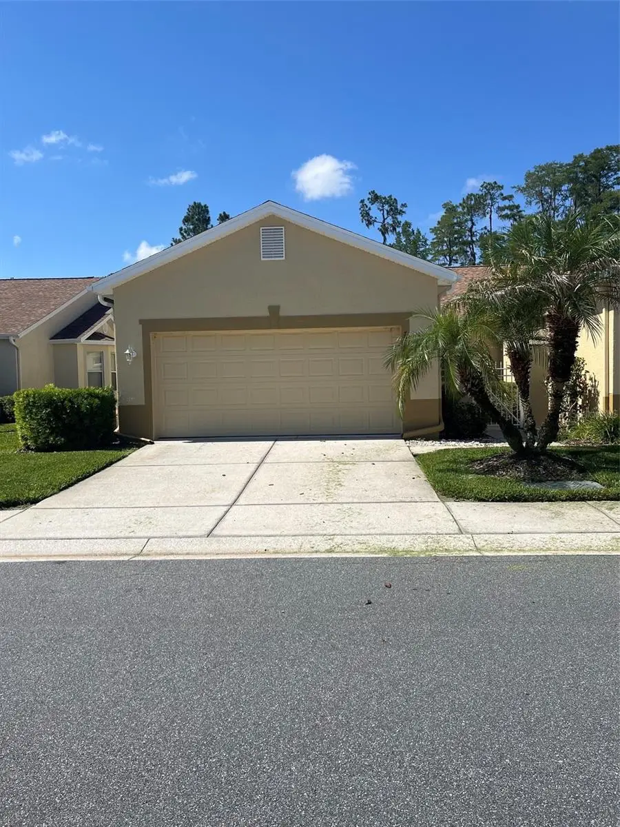 7211 Cleopatra Drive, Land O Lakes, FL 34637 - #1