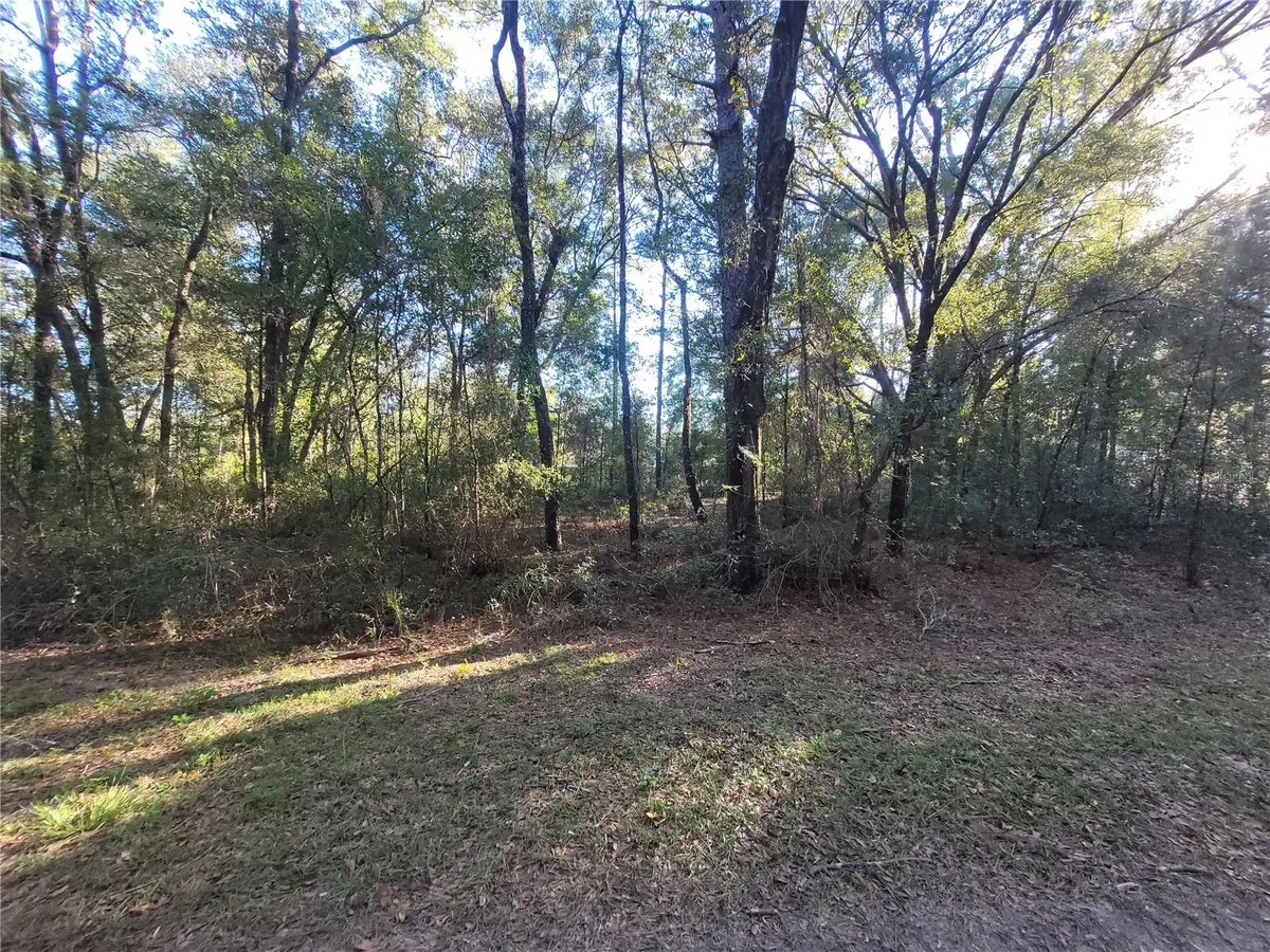 0 SW 22nd Place, Ocala, FL 34481 - #1