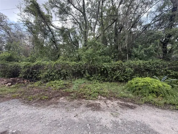 10934 Leon Street, NEW PORT RICHEY, FL 34654