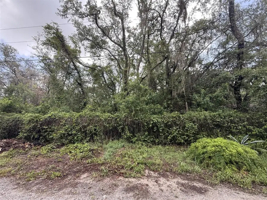 10934 Leon Street, New Port Richey, FL 34654 - #3