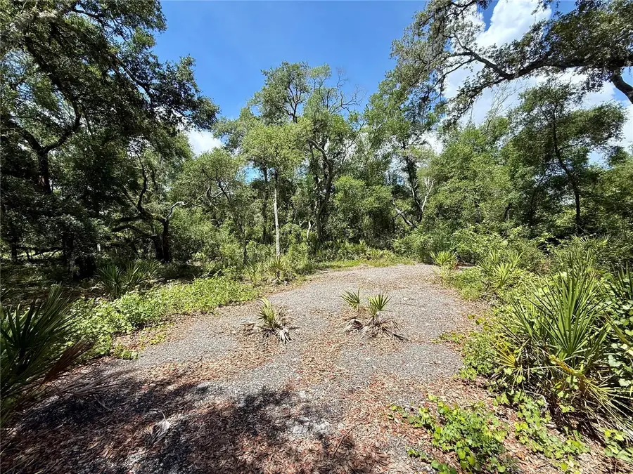 Long Circle, Webster, FL 33597 - #2