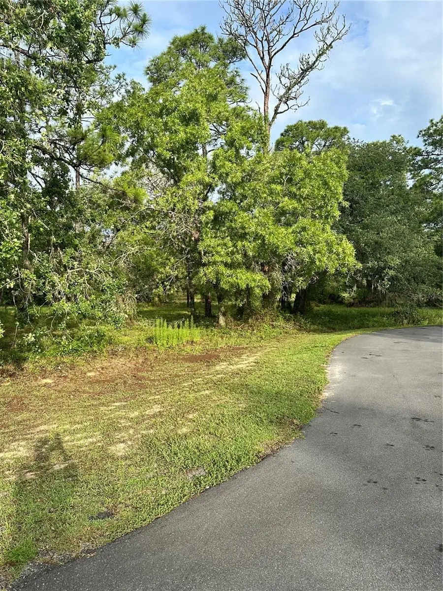 2 Barkwood Point, Homosassa, FL 34446 - #2