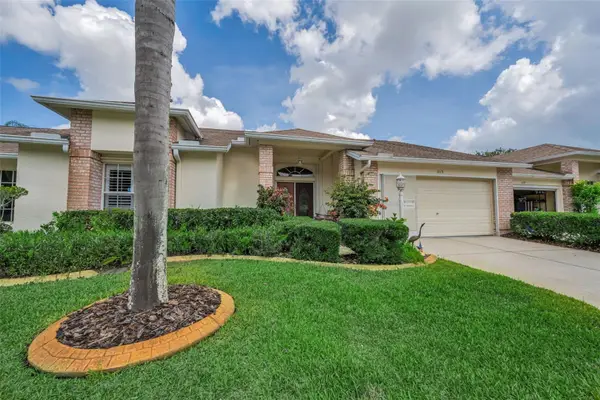 1015 Flora Vista Street, TRINITY, FL 34655