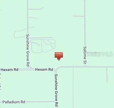 Salome Street, Brooksville, FL 34614 - #3