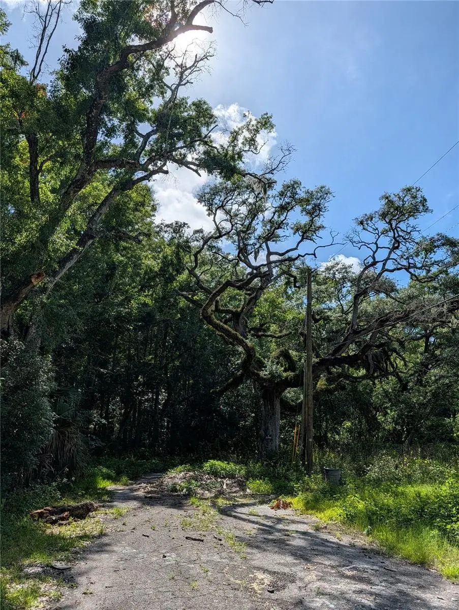 TBD Kiowa, New Port Richey, FL 34654 - #1