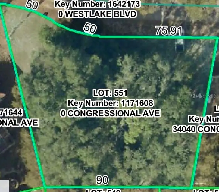 34036 Congressional Avenue, Dade City, FL 33523 - #2