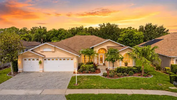 1331 Trimaran Place, TRINITY, FL 34655