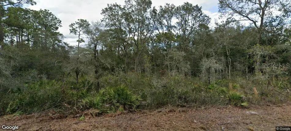 35023 Primrose Lane, Webster, FL 33597 - #1