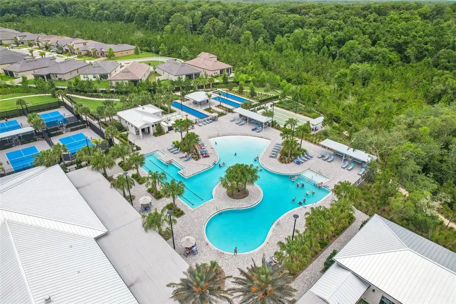11040 Banyan Breeze Boulevard, Land O Lakes, FL 34638 - #2