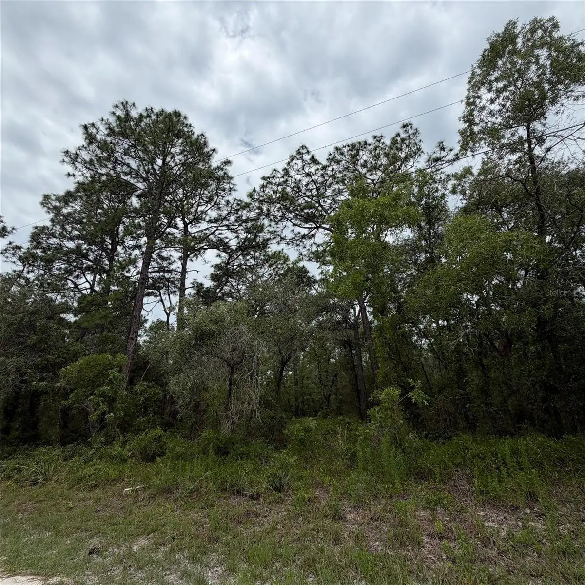 18011 Nutcracker Road, Weeki Wachee, FL 34614 - #1