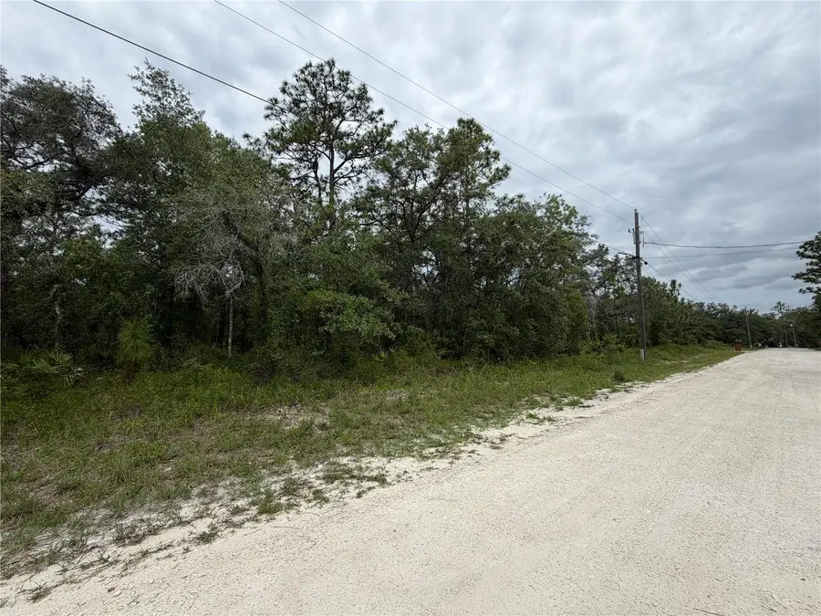 18011 Nutcracker Road, Weeki Wachee, FL 34614 - #2