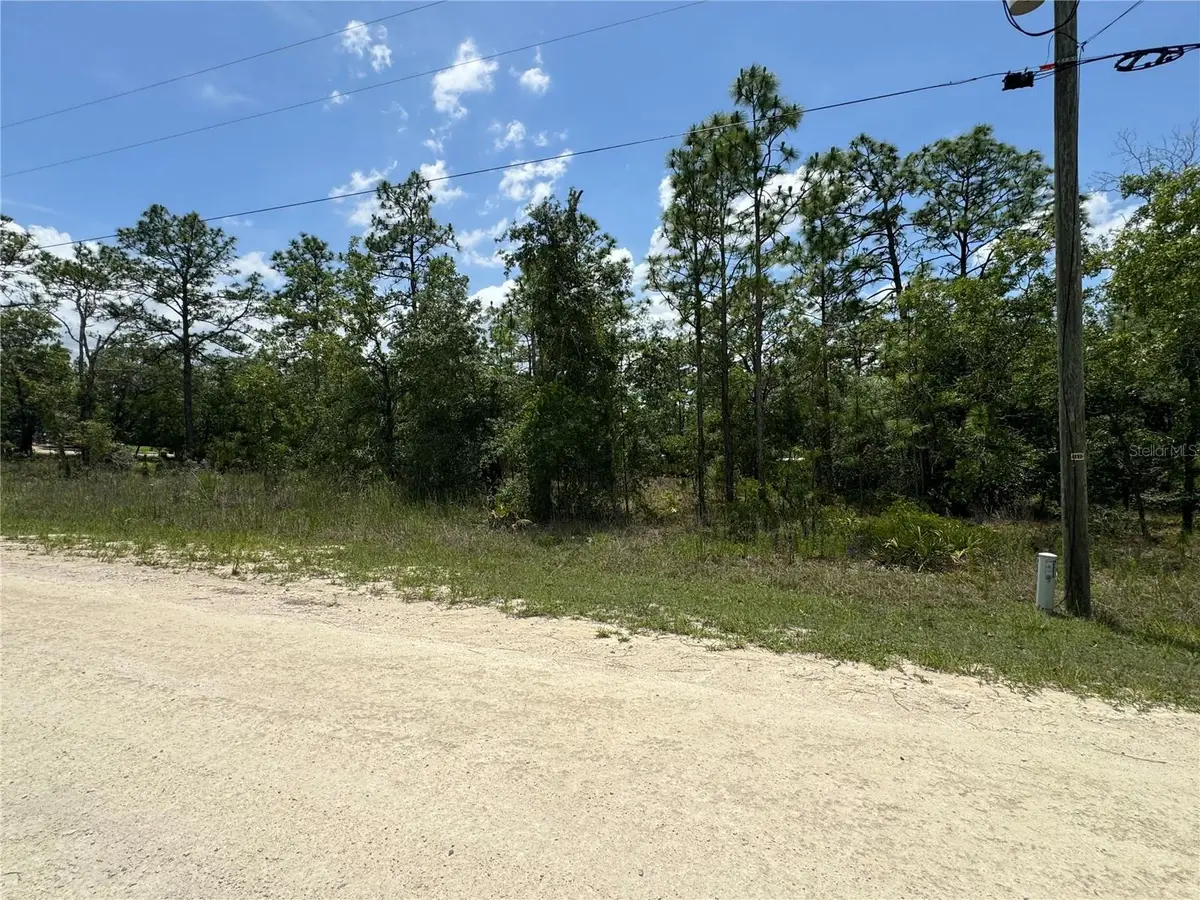 0 Scaup Duck Avenue, Weeki Wachee, FL 34614 - #1