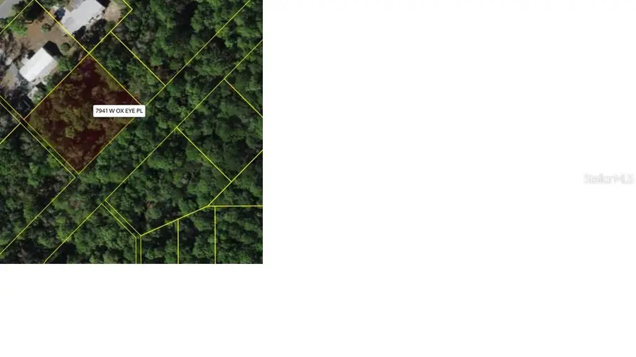 7941 W Ox Eye Place, Homosassa, FL 34448 - #3