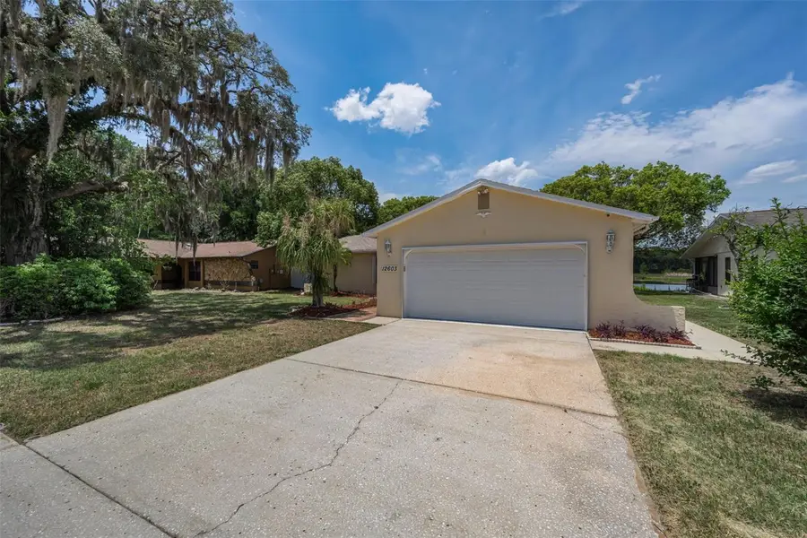 12603 Pecan Tree Drive, Hudson, FL 34669 - #2